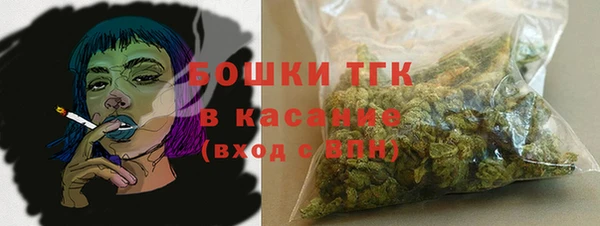 ГАЛЛЮЦИНОГЕННЫЕ ГРИБЫ Абдулино