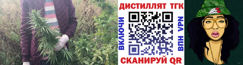 ТГК THC oil Белореченск