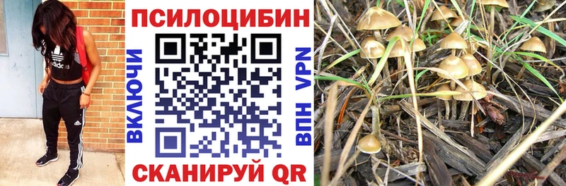 маркетплейс клад  Белореченск  Псилоцибиновые грибы мухоморы 