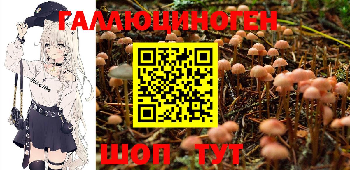 Белореченск  Псилоцибиновые грибы GOLDEN TEACHER  Вход с VPN 
