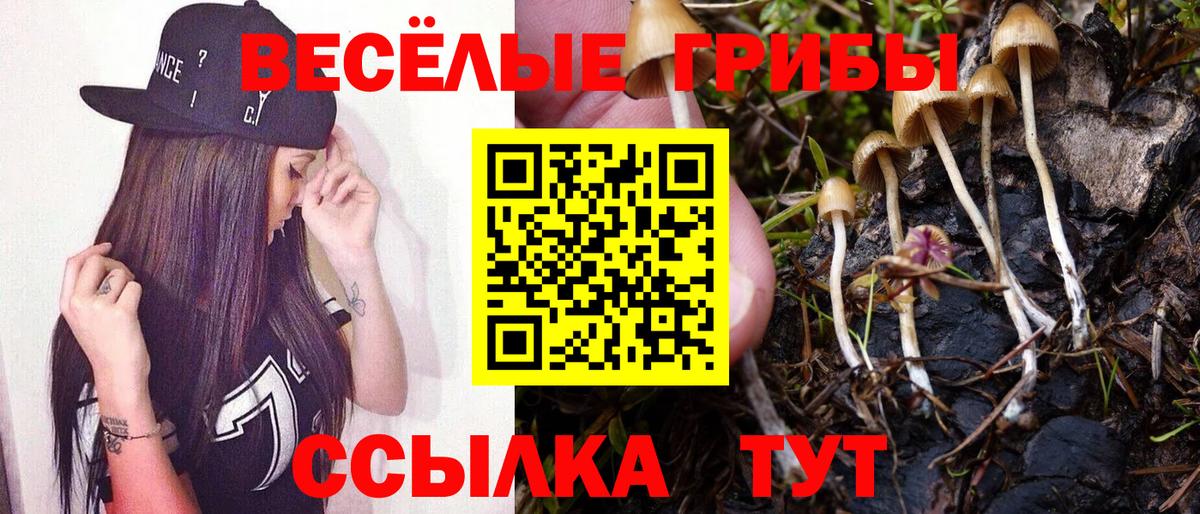 Псилоцибиновые грибы Magic Shrooms Белореченск